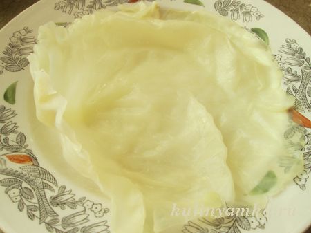 лист капусты на тарелке